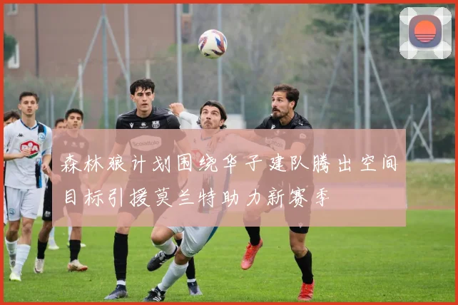森林狼计划围绕华子建队腾出空间目标引援莫兰特助力新赛季